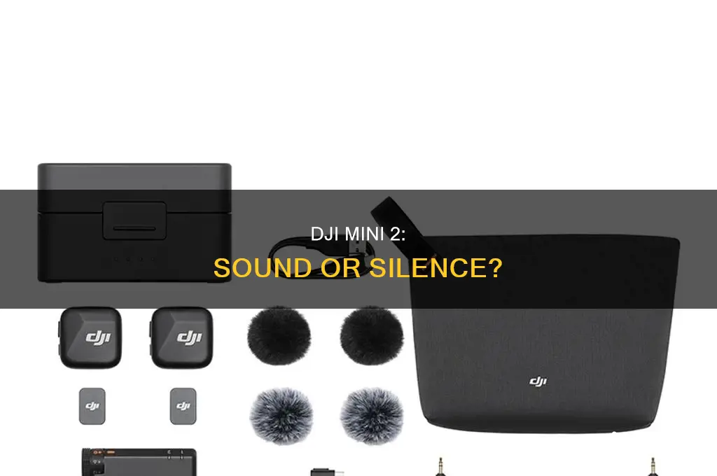 does dji mini 2 have sound