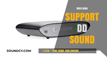 Does DLNA Support DD Sound? Exploring Audio Compatibility and Limitations