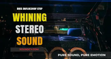 How to Stop Whining Stereo Sound with Dnfloc200f