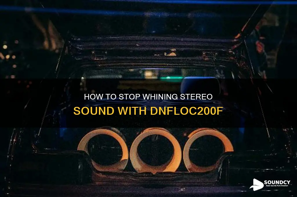 does dnfloc200f stop whining stereo sound