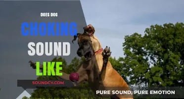 Recognizing Dog Choking Sounds: What to Listen For and How to Act