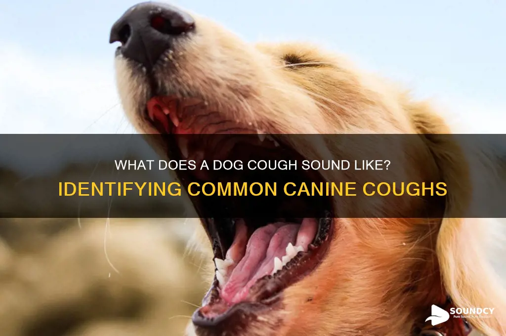 does dog cough sound like