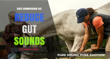 Dormosedan Gel: Reducing Gut Sounds, Fact or Fiction?