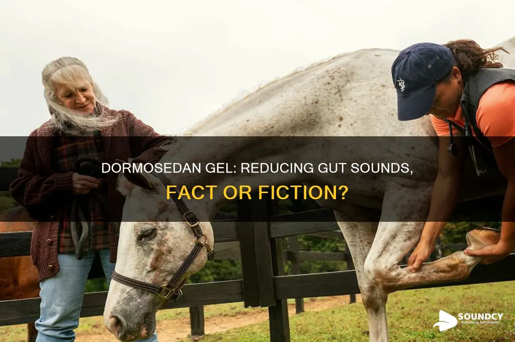 does dormosedan gel reduce gut sounds