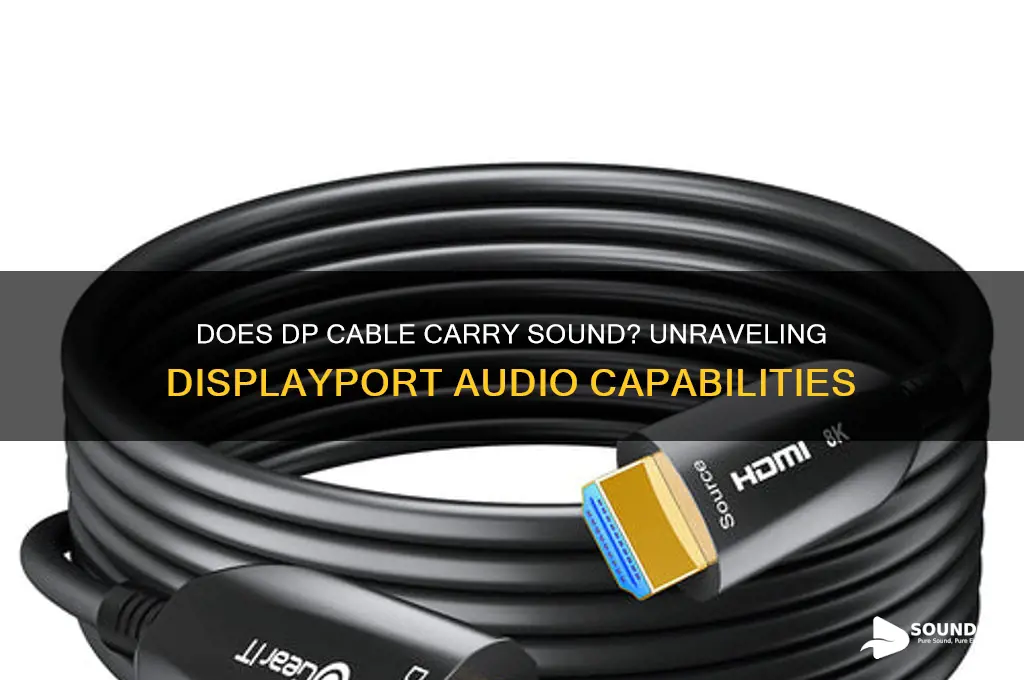 does dp cable carry sound