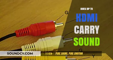 DP to HDMI: Does it Carry Audio and Video?