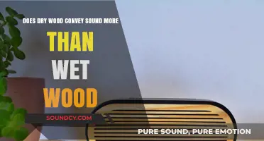 Dry vs. Wet Wood: Which Amplifies Sound Better?