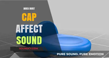 Does Dust Cap Impact Audio Quality? Uncovering the Truth