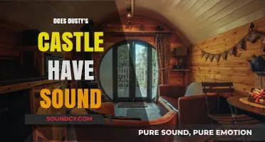 Dusty's Castle: A Quiet or Noisy Affair?