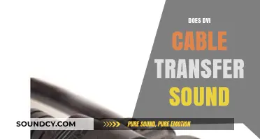 Does DVI Cable Transfer Sound? Unraveling Audio Capabilities of DVI Connections