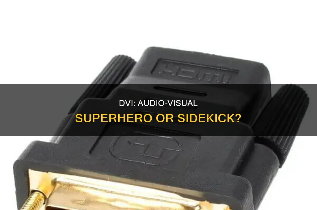 does dvi carry sound and picture