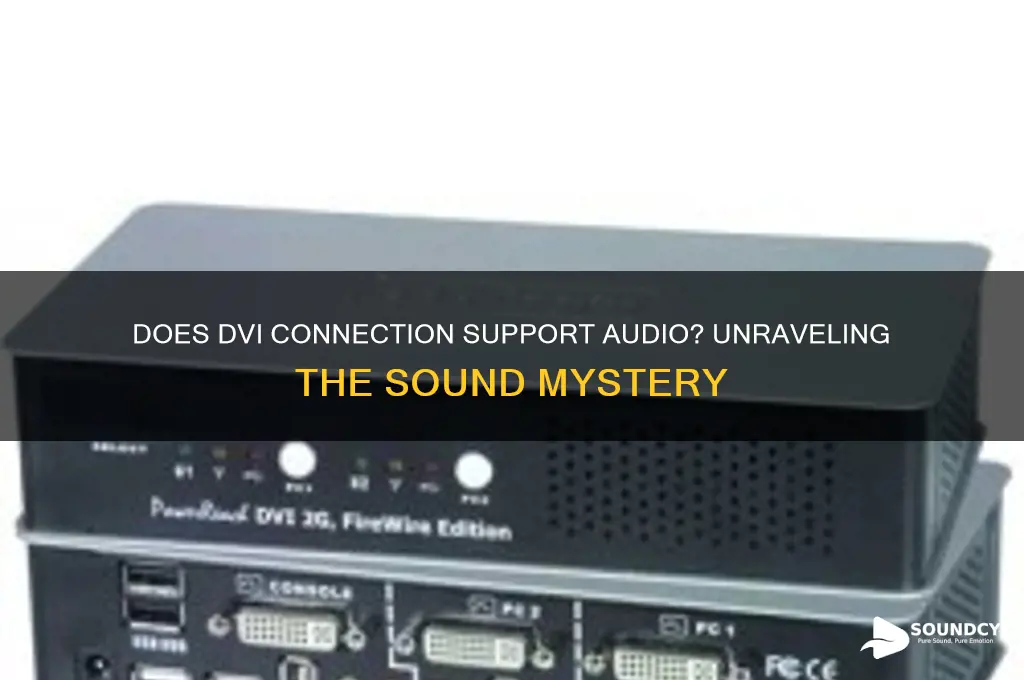 does dvi connection have sound