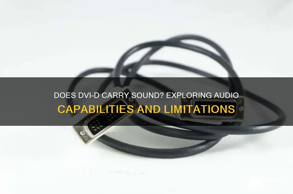 does dvi d carry sound
