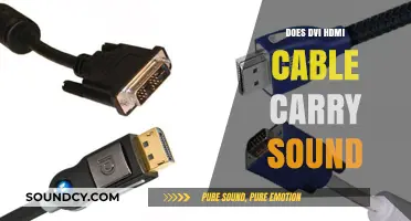 DVI-HDMI Cable: Does It Carry Audio?