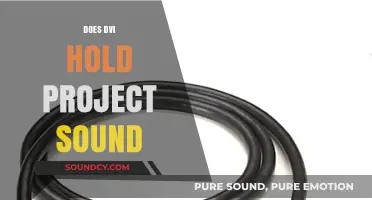 Does DVI Hold Up for Project Sound Quality and Performance?