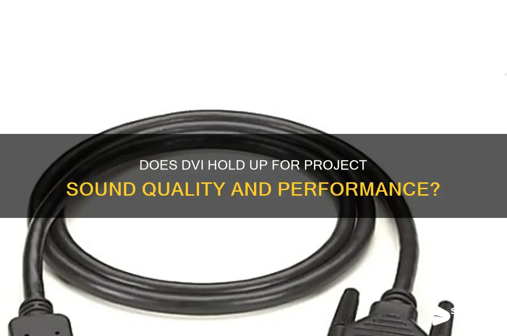 does dvi hold project sound
