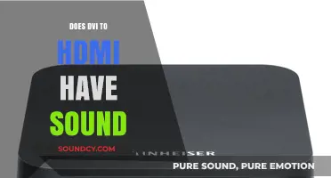 DVI to HDMI: What About the Audio?