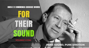 E.E. Cummings' Sonic Poetry: Crafting Words for Sound and Meaning