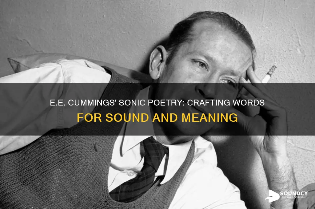does e e cummings chooses words for their sound