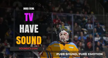 Does ECHL TV Have Sound? Exploring Audio Features and Viewer Experience