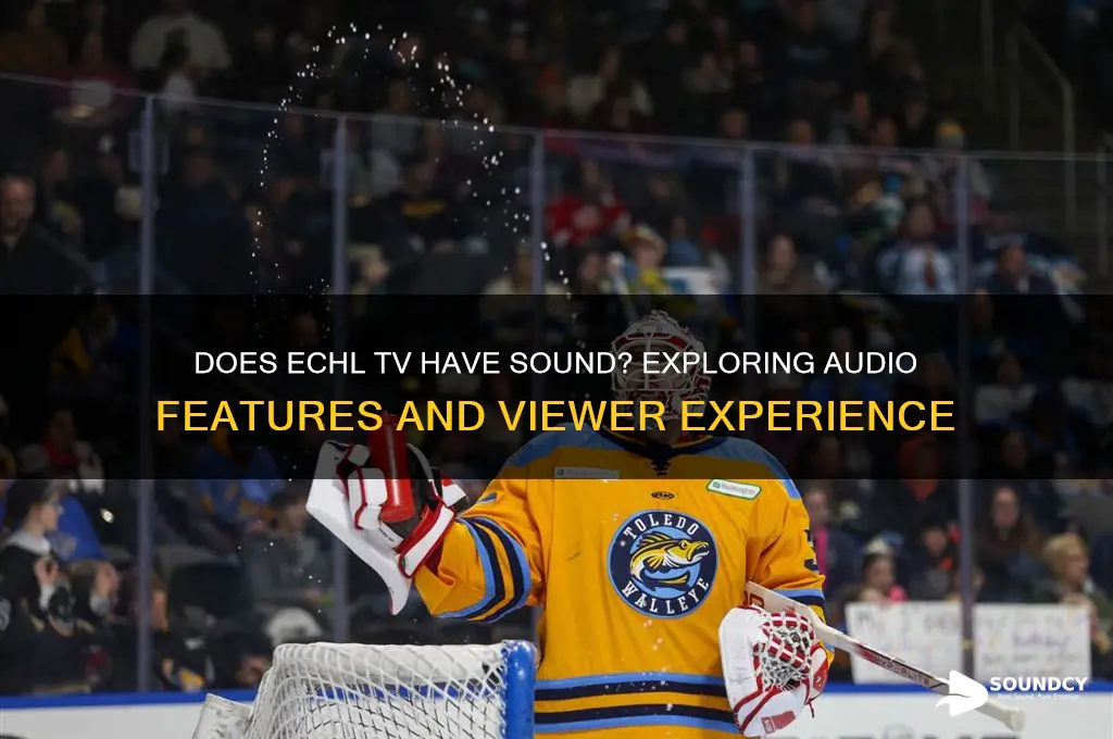 does echl tv have sound