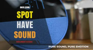 Does Echo Spot Have Sound? Exploring Its Audio Capabilities and Features