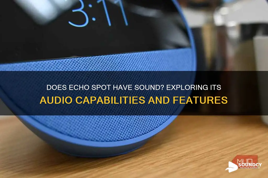 does echo spot have sound