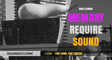 Exploring Echoic Memory: Does Sound Play a Crucial Role?