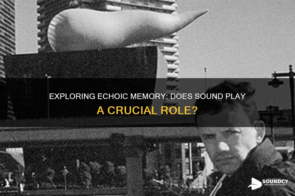 does echoic memory require sound
