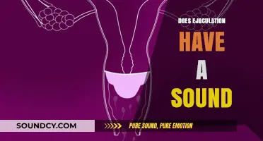 Does Ejaculation Make Noise? Exploring the Sounds of Climax