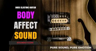 How Electric Guitar Body Tonewoods Affect Your Sound