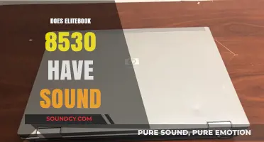 EliteBook 8530 Sound Capabilities: Exploring Audio Features and Functionality