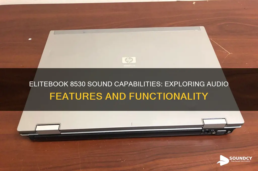 does elitebook 8530 have sound
