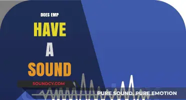 Exploring the Science: Does EMP Produce a Detectable Sound?