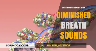 Emphysema: Diminished Breath Sounds and Their Causes