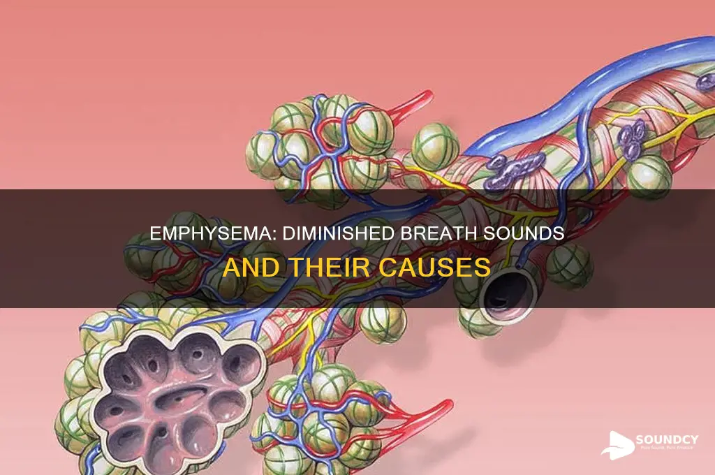does emphysema cause diminished breath sounds