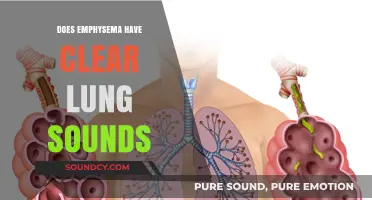Emphysema: Clear Lung Sounds or a Myth?