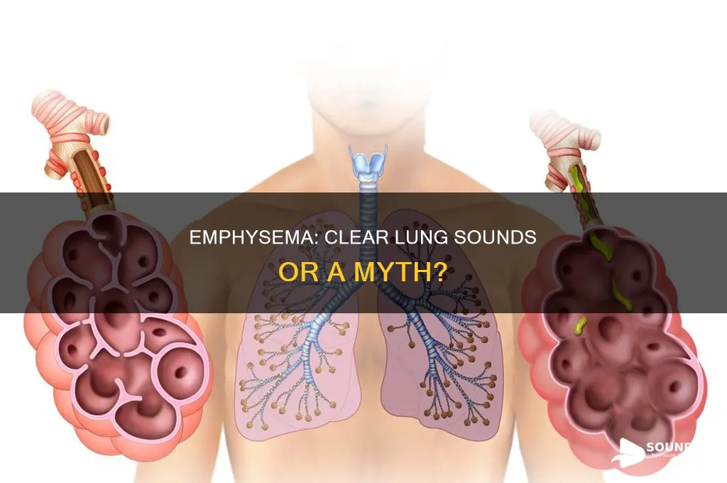 does emphysema have clear lung sounds