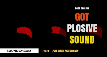 Exploring English Phonetics: Do Plosive Sounds Exist in the Language?