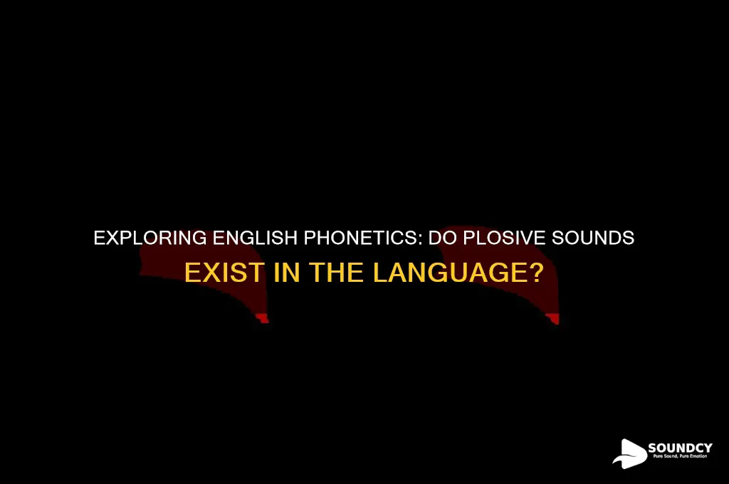 does english got plosive sound