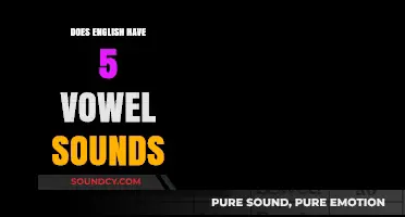 The Truth About English Vowel Sounds