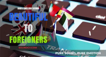 The Beauty of English: Foreigner's Perspective