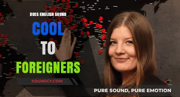 English Coolness: Foreigners' Perspective on Our Language