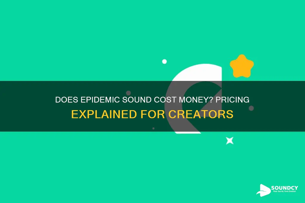 does epidemic sound cost money