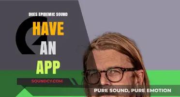 Epidemic Sound App: Does It Exist?