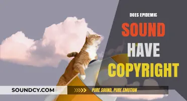 Does Epidemic Sound Have Copyright? Understanding Usage Rights and Licensing