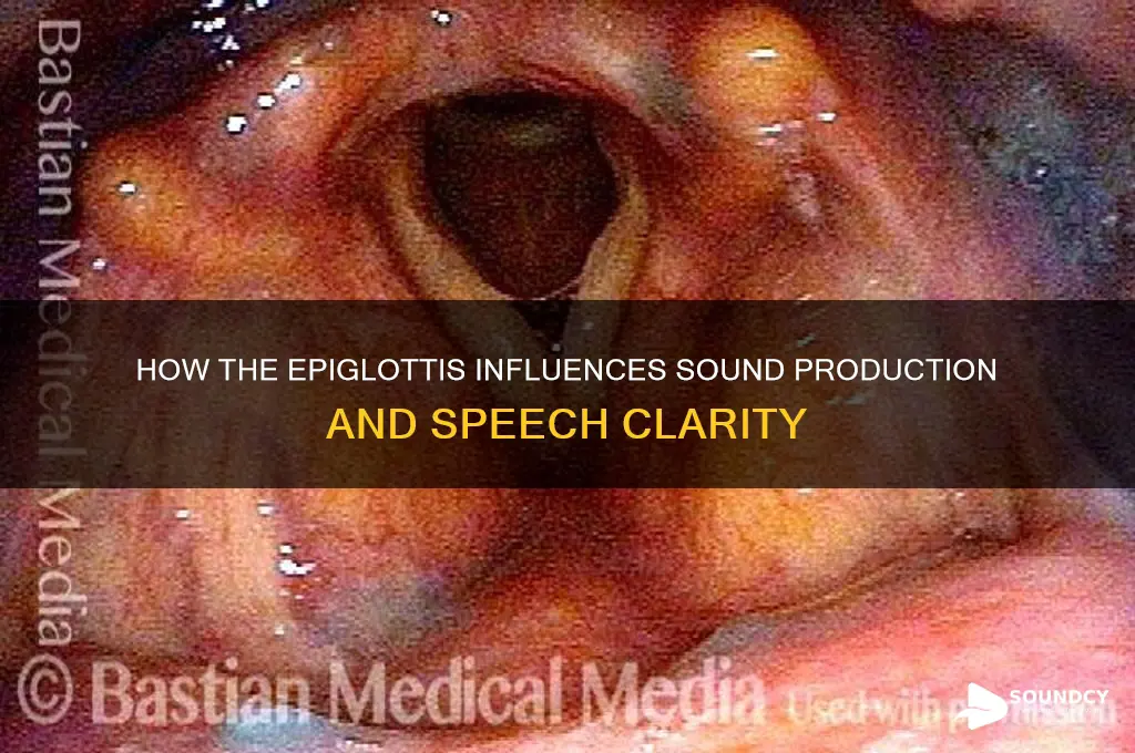 does epiglottis help with sound