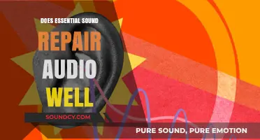 Essential Sound Repair: Audio Perfection?