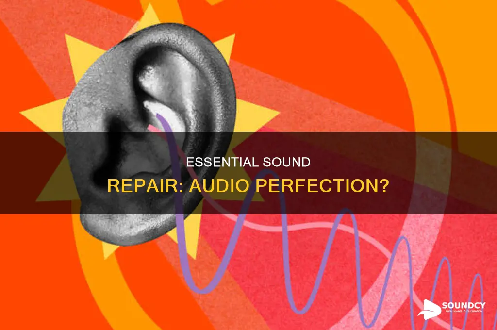 does essential sound repair audio well