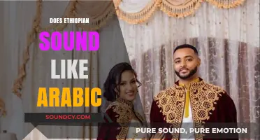Does Ethiopian Sound Like Arabic? Exploring Linguistic Similarities and Differences